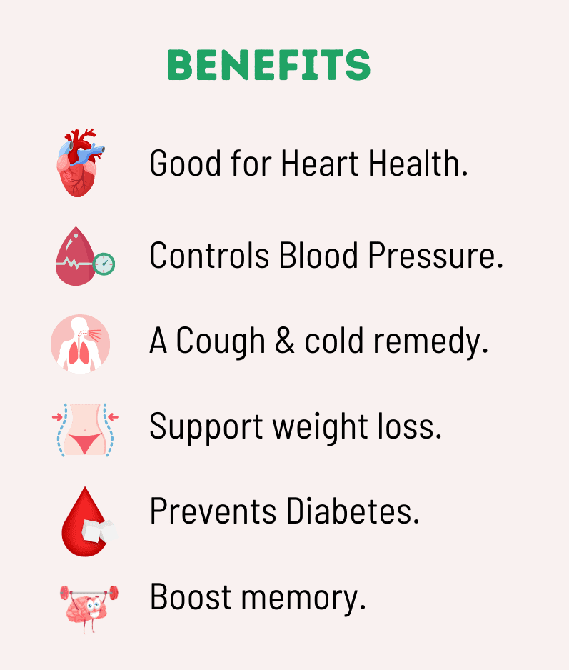 Belly Shaper Benefits