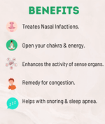 Kayapalat Nasya Benefits
