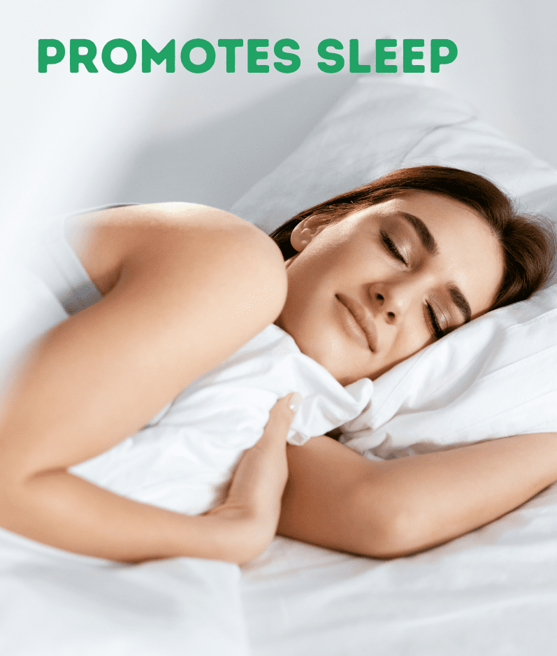 Kayapalat Nasya Sleep