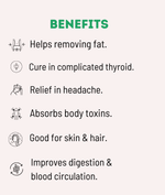 Magical Mud Benefits