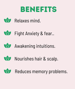 Kayapalat Shirodhara Oil 