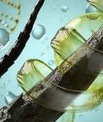 Kayapalat Hair Serum – Best Hair Serum for Women in India Hair Serum Kayapalat Care 