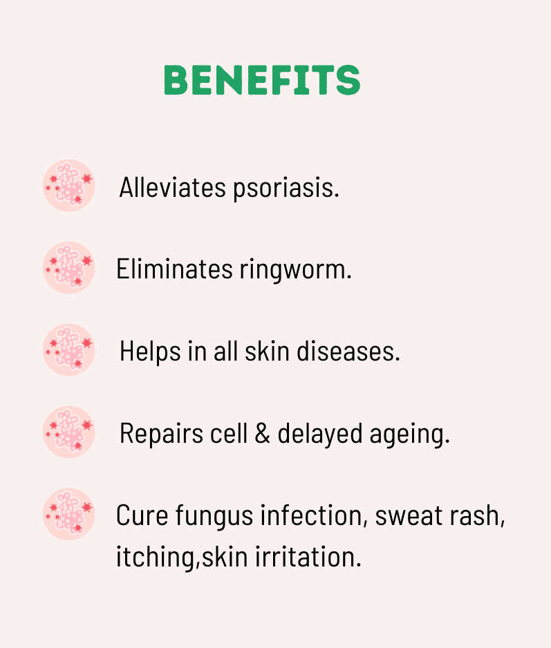 Kayapalat Mud Aushadhi – Ayurvedic Detoxifying Treatment for Glowing Skin thumbnail 3