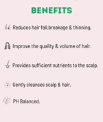 Kayapalat Mud Hair Shampoo: Natural Nourishment for Your Hair Hair Care Kayapalat Care 
