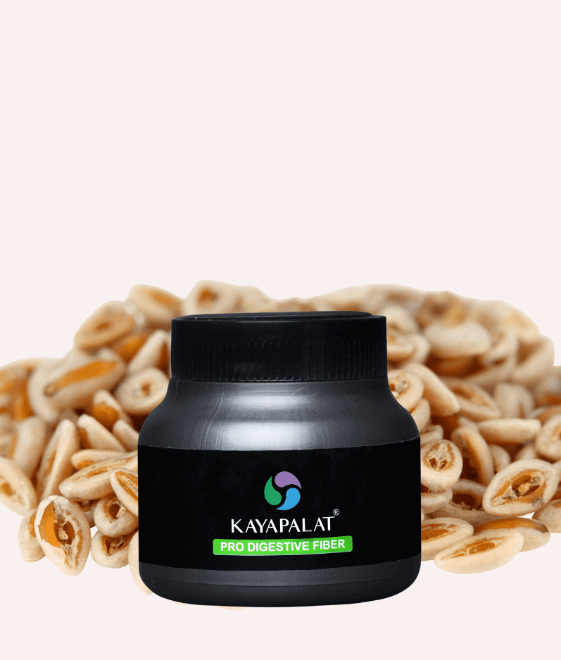 Kayapalat Pro-Digestive Fiber - Natural Support for Digestive Health